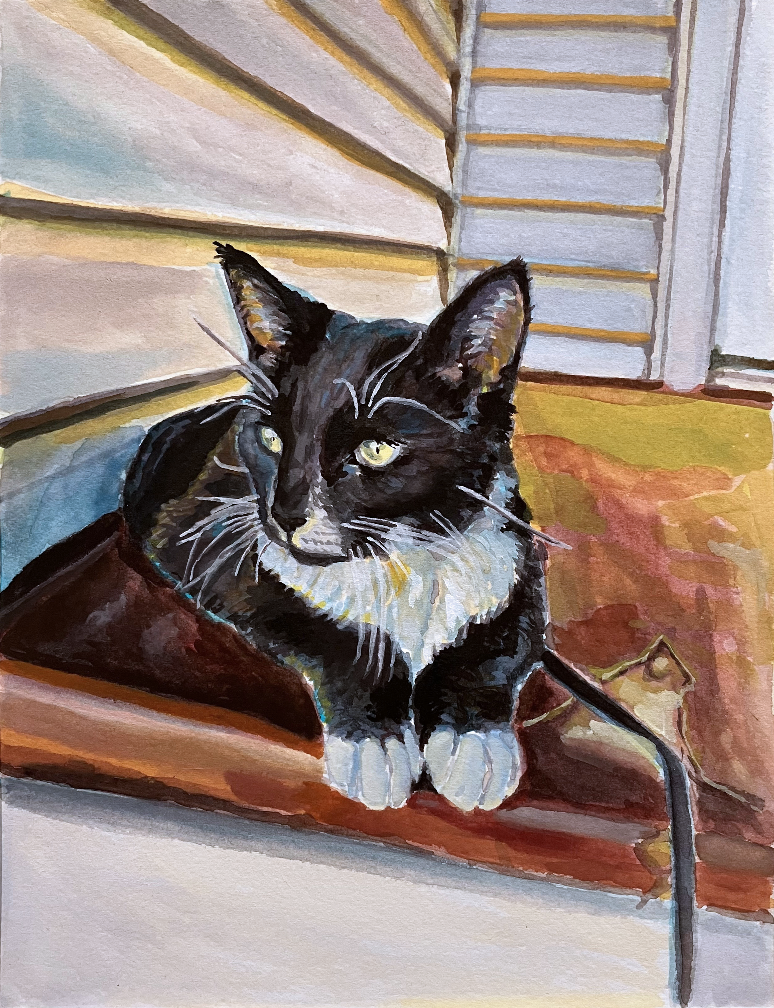 Mia on the Porch